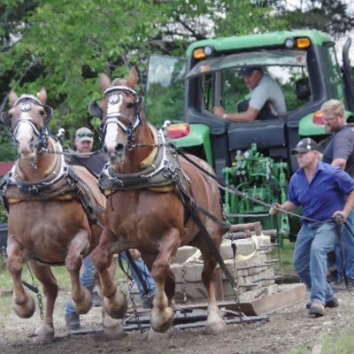 Daley1George's profile picture. 