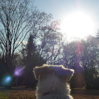 maasand262626's profile picture. ãåãæŠäºãæããçå®ãç¥ãããšãå¹³åã«ç¹ããã
æ¬åœã¯ã©ããªã®ïŒã远æ±ããããšæãæ¥ã
ã§ãã
ãã€ãã¿ãŒã®ä»çµã¿ãããããã£ãŠãªããã®ã§ãð€
å°ãæ
£ããŠãããšããããŸããŸããããããªã£ãçºã«
ååºçºèŽããŸããð