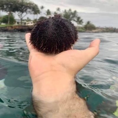 shagetti's profile picture. 