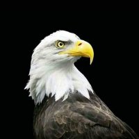 Zezo Bmw (@zezobmw1) 's Twitter Profile