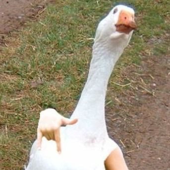 wanawan2006's profile picture. 