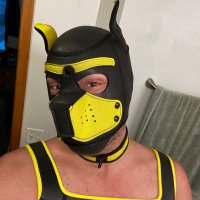 PupperSnow (@imupforanythin1) 's Twitter Profile