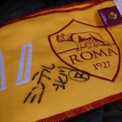 ASROMA/ロマニスタ
GAMBA OSAKA/ガンバ大阪/青黒
無言フォローお許し下さい🙇