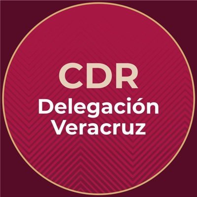 Perfil institucional de la Delegación Regional de la Secretaria de Educación zona Veracruz (2018-2024)