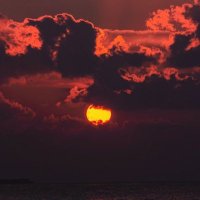 kai Rose (@eous_sr) 's Twitter Profile