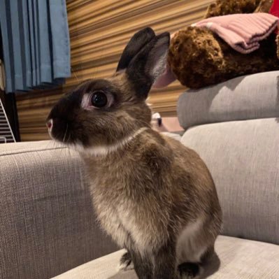 G58nvBTbcsDtVAv's profile picture. ワンピースカードとポケカコレクター