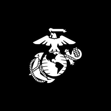 Marine combat veteran. This is not the America I sacrificed for. https://t.co/aaoNMmi1Ma