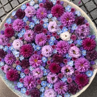 riri_kpkc's profile picture. King & Prince大好きです。 岸くんの歌声とダンスの虜です。メンバーといる時の岸くんが大好きです。 何かできないかと始めました。ルール等わかっておらず不慣れですが、いいねやリツイートさせていただきます。また、フォローしてくださると嬉しいです！！フォローバックもさせていただきます！！