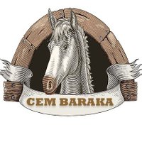 Cem BARAKA(@cembaraka) 's Twitter Profile Photo