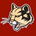 IU Kokomo Athletics (@IUKAthletics) Twitter profile photo