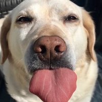 John Connelly (@johncon1055) 's Twitter Profile