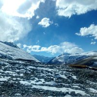 Ayeshah (@ayesha_kp) 's Twitter Profile
