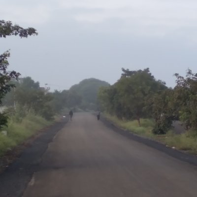 ymvageesh's profile picture. 