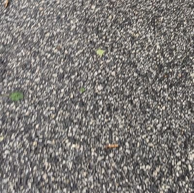 zsmerrett's profile picture. 