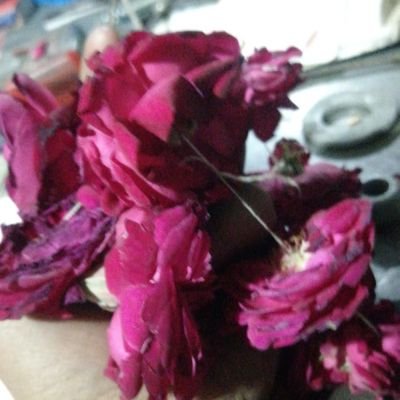 خوش فہمی ہے کہ پارسا ہیں آپ
ارے صاحب!
موقع نہیں ملا ہوگا🖤🔥