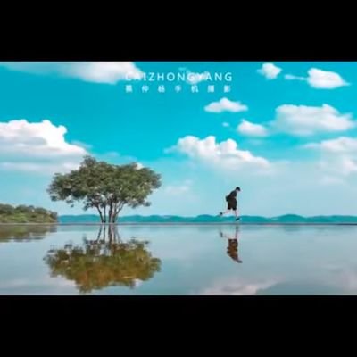 machao96082468's profile picture. 