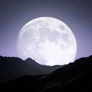 noonmoonstore's profile picture. Bisexual, a artist and moon lover