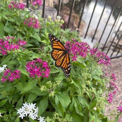 JanetU2020's profile picture. 