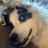 Twitter result for Healthy Direct from PeacefulKneads1