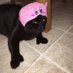 Thumb Cat ๐
(@thethethumbcat) Twitter profile photo Thumb Cat ๐
(@thethethumbcat) Twitter profile photo