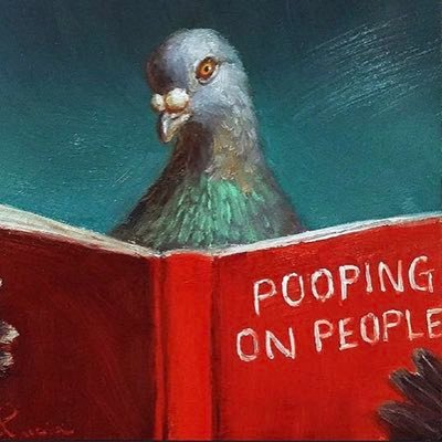 dopey_pigeon's profile picture. Exponent, Underling, Autodidact, Cognitive Deconstructionist