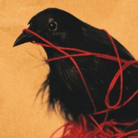 🏴 Jon Praxis (@edricdank) 's Twitter Profile