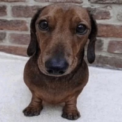 legoalen7's profile picture. 