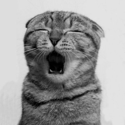 joha_ergashev's profile picture. Reader, Lazy programmer, ReactJs | NextJs Developer