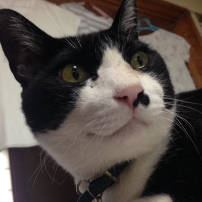 英語をかじって
blenderかじって
asepriteかじって
Unityかじってるnow
なんか学んだ事を呟いてこうかな
メモみたいに