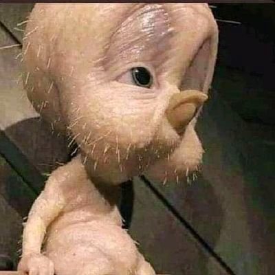 morganadt1's profile picture. Manchester United die hard