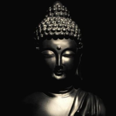 Bb72748757's profile picture. 