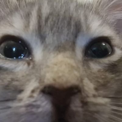 Henrysworkshop's profile picture. workshop.