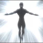 DavidPlamenev's profile picture. 