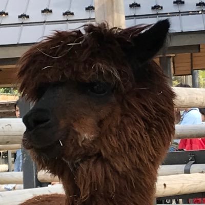 HIKKOSHIさんのプロフィール画像