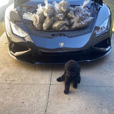 C4Leidy's profile picture. Rip Jam♿️
FREE FTD🪬🙏🏽💙💙