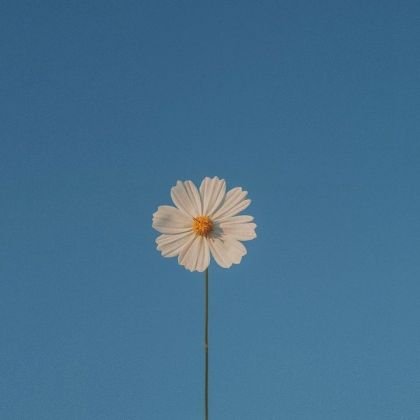 ilovemangoteen's profile picture. Life is Journey ☺️