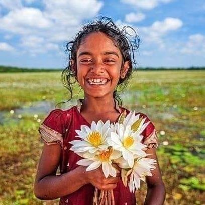 lasanth59963116's profile picture. this is your Gateway to planning and booking your entire Holiday to the enchanting Island of srilanka. you can now select from a range of travel packages,  comp