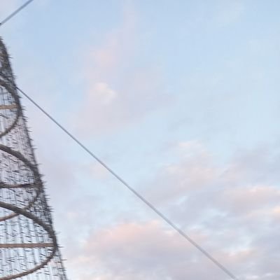 AyqqrZ6uFbNsRjD's profile picture. 