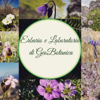 Herbarium_UNIRC (@herbarium_unirc) 's Twitter Profile