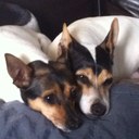 SCOTT STCLAIR - @LSSTCLAIR - Twitter