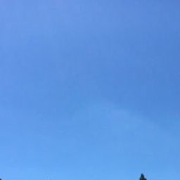 kqz_222's profile picture. 目ん玉大きい人が好ましい