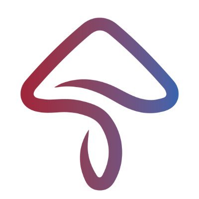 A community of people who enjoy web3 AND having fun.
