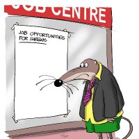 Shrewsbury International Cartoon Festival (@shrewstoonfest) Twitter profile photo