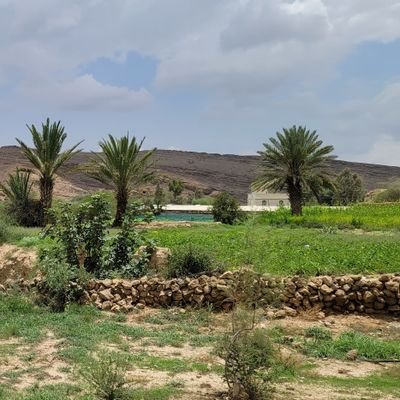 Abduallhabdslam's profile picture. 