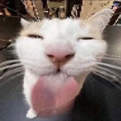 hi 🫶🏼