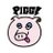 PIGGS_idol