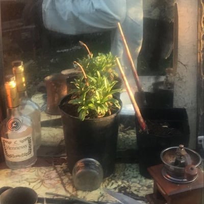 User_25048's profile picture. 24수능 / 겨울방학 공부 기록용