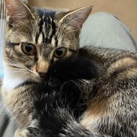 チョコ (@1lfqdaebl7cdeee) 's Twitter Profile