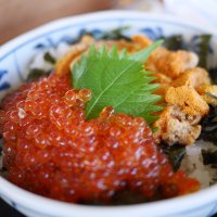 かんな　27小受30中受（23小受済） (@gbrnsk1) Twitter profile photo