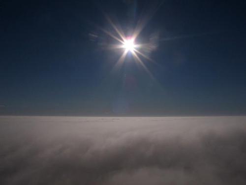 mewwiest's profile picture. Ending Poverty is my thing, Mi Familia is everything to me.